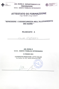 Certificato stefano allevamento